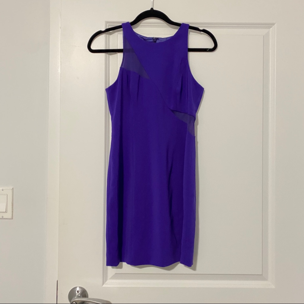 Indigo Purple Mini Dress With Mesh